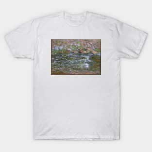 Rapids on the Petite Creuse at Fresselines T-Shirt